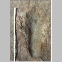 px85b-10-13 (IIS,-3)m2.jpg